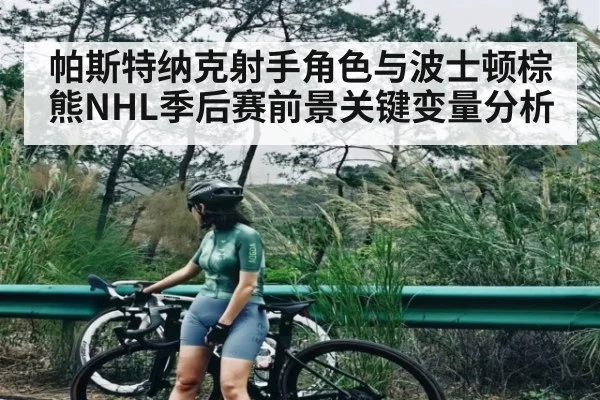 帕斯特纳克射手角色与波士顿棕熊NHL季后赛前景关键变量分析